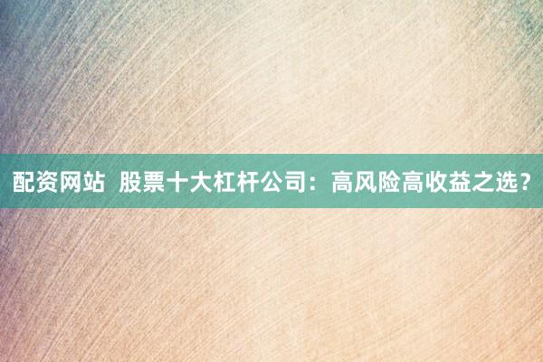 配资网站  股票十大杠杆公司：高风险高收益之选？