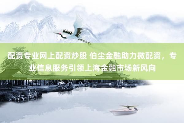 配资专业网上配资炒股 伯尘金融助力微配资，专业信息服务引领上海金融市场新风向