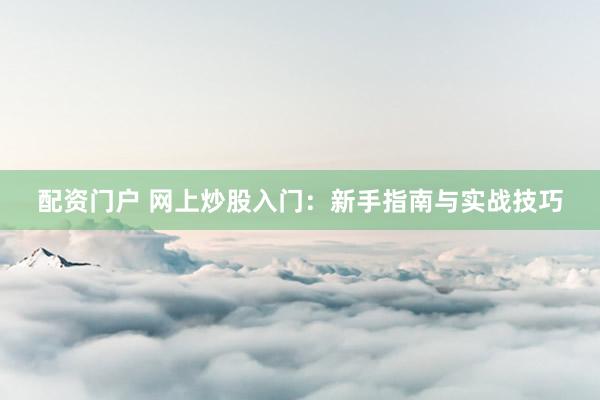 配资门户 网上炒股入门：新手指南与实战技巧
