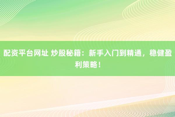 配资平台网址 炒股秘籍：新手入门到精通，稳健盈利策略！