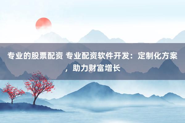专业的股票配资 专业配资软件开发：定制化方案，助力财富增长