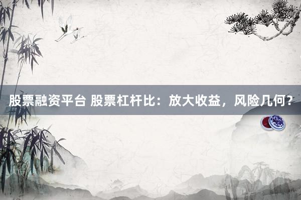 股票融资平台 股票杠杆比：放大收益，风险几何？